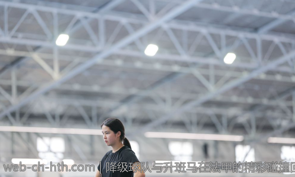 降级球队与升班马在法甲的精彩碰撞回顾